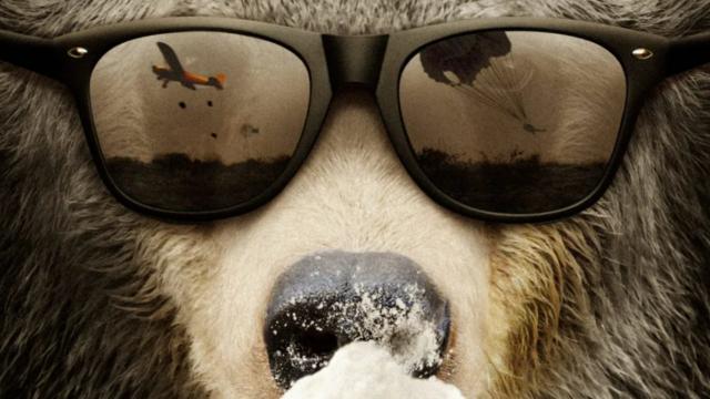 Ku Câu chuyện có thật về Cocaine Bear: đoạn giới thiệu của bộ phim tài liệu điên rồ