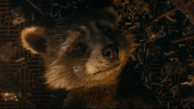 Kubet Guardians of the Galaxy 3: một clip mới cảm động với Rocket Racoon