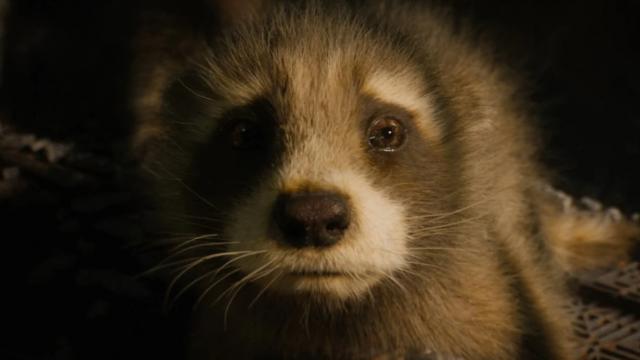 Ku Câu chuyện về GotG3 lẽ ra phải là câu chuyện của một bộ phim Rocket &; Groot;